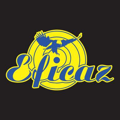 Eficaz Segurança Eletrônica